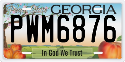 GA license plate PWM6876