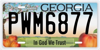 GA license plate PWM6877