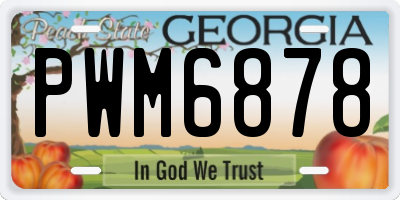 GA license plate PWM6878