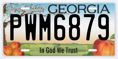 GA license plate PWM6879
