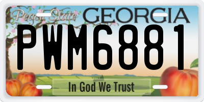 GA license plate PWM6881
