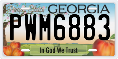 GA license plate PWM6883
