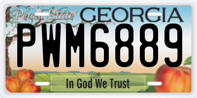 GA license plate PWM6889