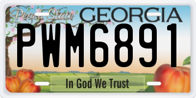 GA license plate PWM6891