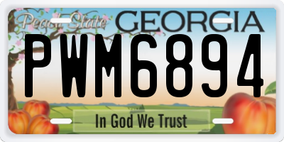 GA license plate PWM6894