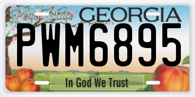 GA license plate PWM6895