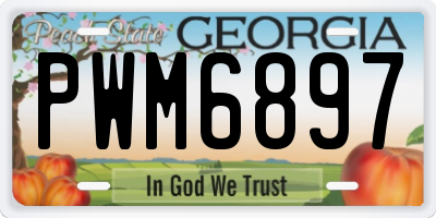 GA license plate PWM6897