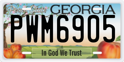 GA license plate PWM6905
