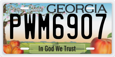 GA license plate PWM6907
