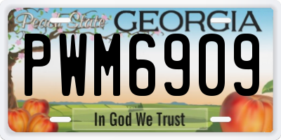GA license plate PWM6909