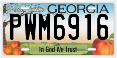 GA license plate PWM6916