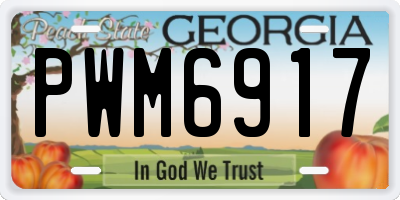 GA license plate PWM6917