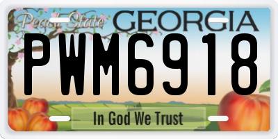 GA license plate PWM6918