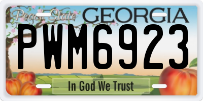 GA license plate PWM6923