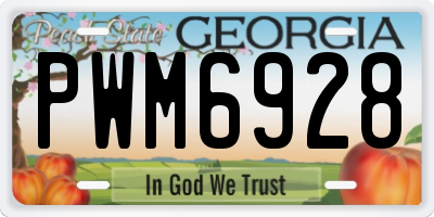 GA license plate PWM6928