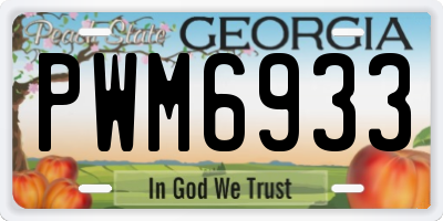 GA license plate PWM6933