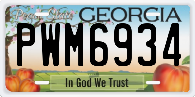 GA license plate PWM6934