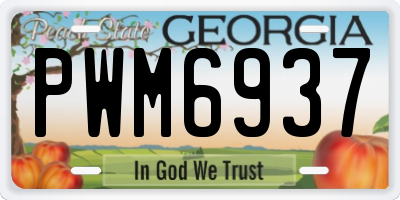GA license plate PWM6937