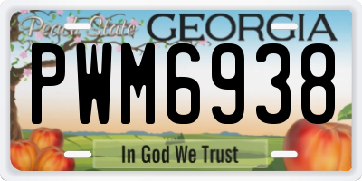 GA license plate PWM6938