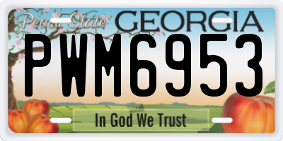 GA license plate PWM6953