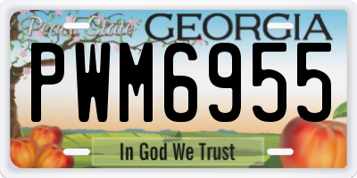GA license plate PWM6955