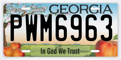 GA license plate PWM6963