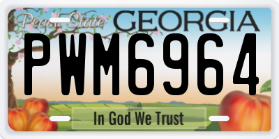 GA license plate PWM6964