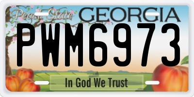GA license plate PWM6973