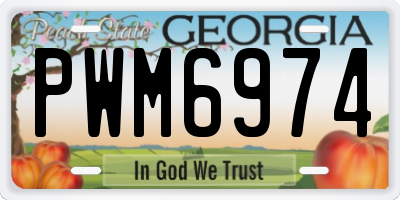 GA license plate PWM6974