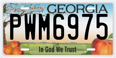 GA license plate PWM6975