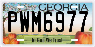GA license plate PWM6977