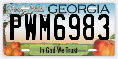 GA license plate PWM6983