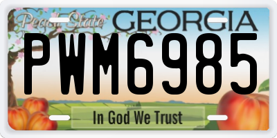GA license plate PWM6985