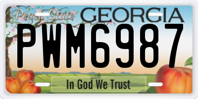 GA license plate PWM6987