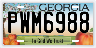 GA license plate PWM6988