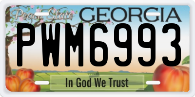 GA license plate PWM6993