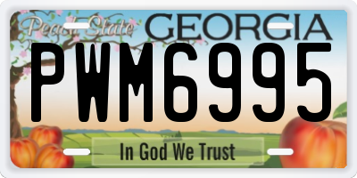 GA license plate PWM6995