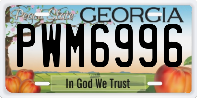 GA license plate PWM6996