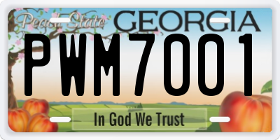 GA license plate PWM7001