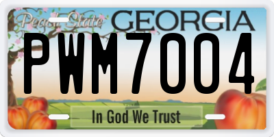 GA license plate PWM7004
