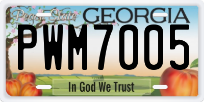 GA license plate PWM7005