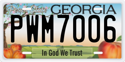 GA license plate PWM7006