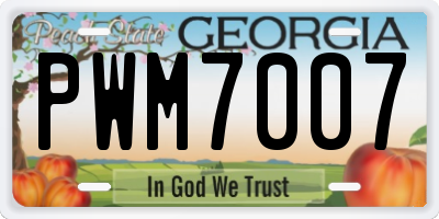 GA license plate PWM7007