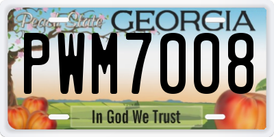 GA license plate PWM7008