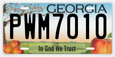 GA license plate PWM7010