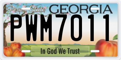 GA license plate PWM7011