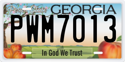 GA license plate PWM7013