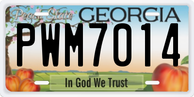 GA license plate PWM7014