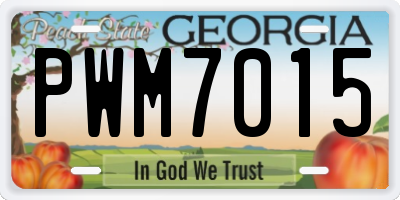 GA license plate PWM7015