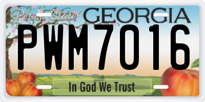 GA license plate PWM7016